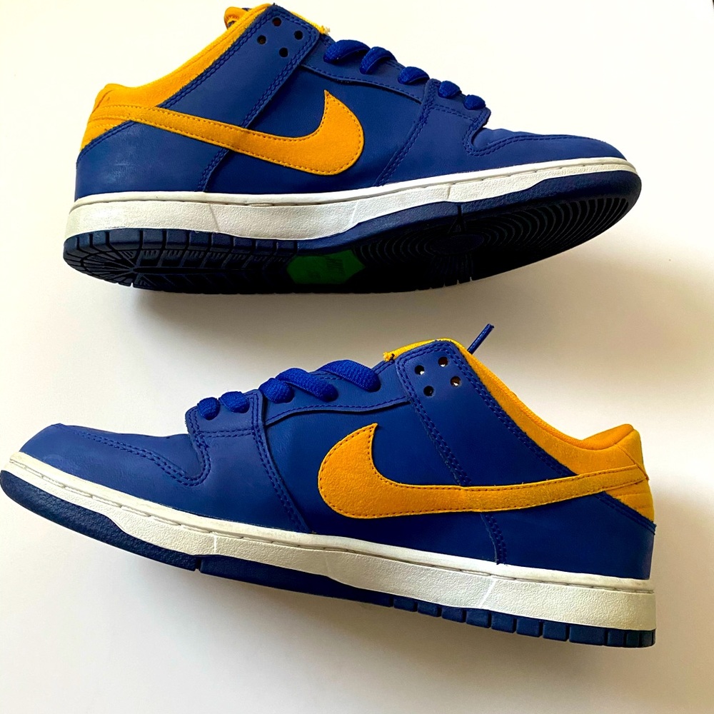 Nike zoom air dunk low PRO